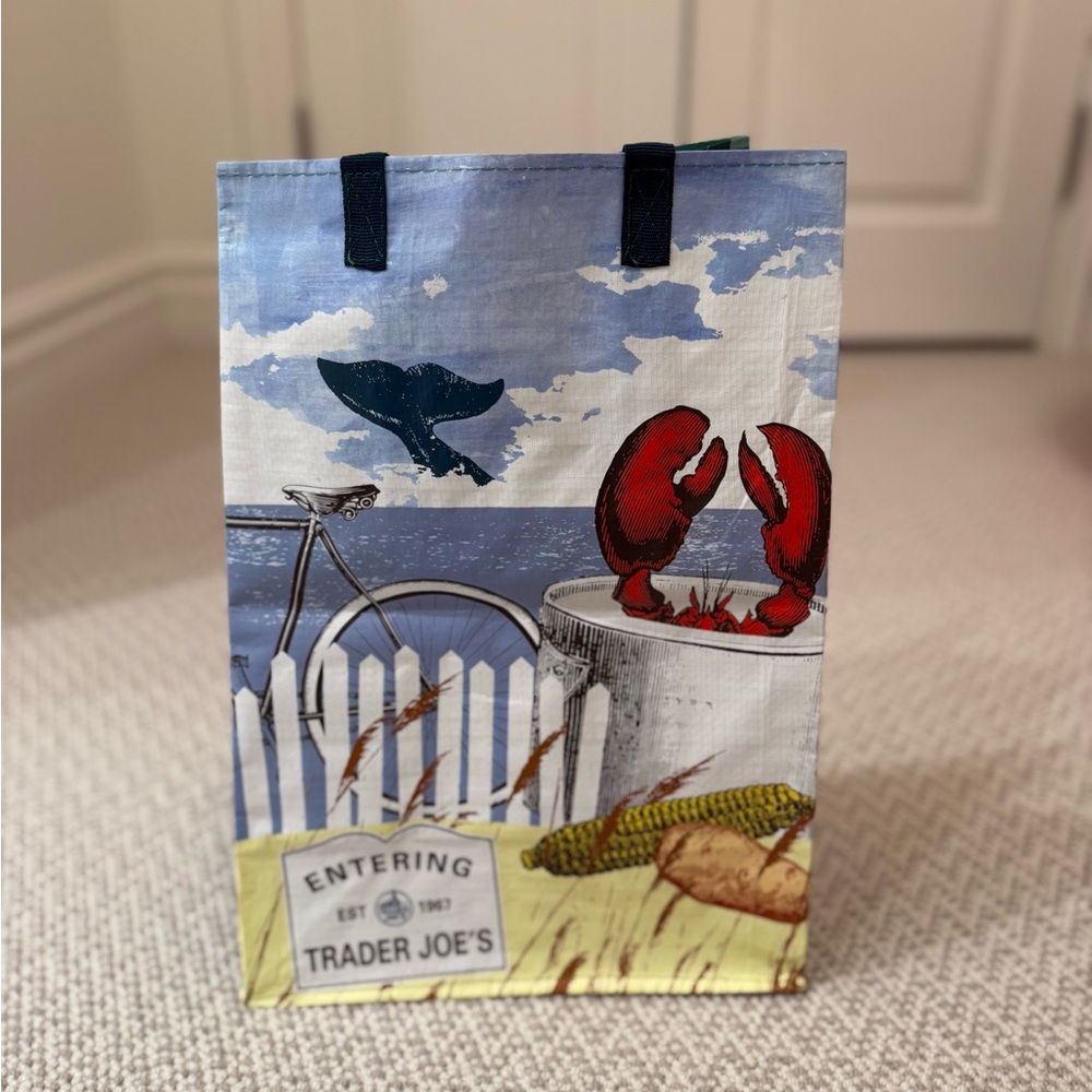 Trader Joe's Illustrated reusable Tote Bag- Boston